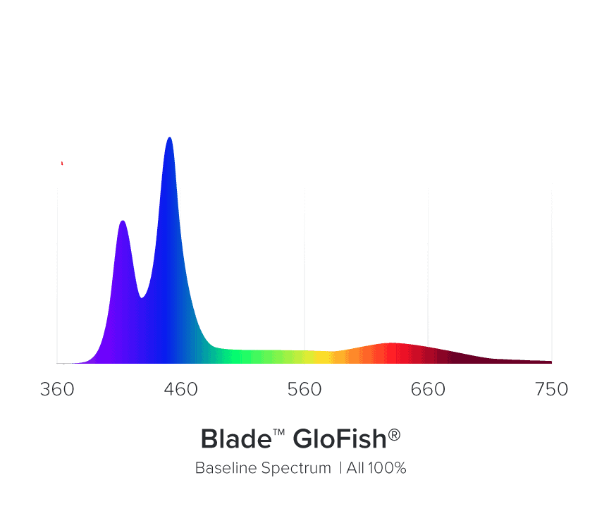 Blade GloFish Spectrum